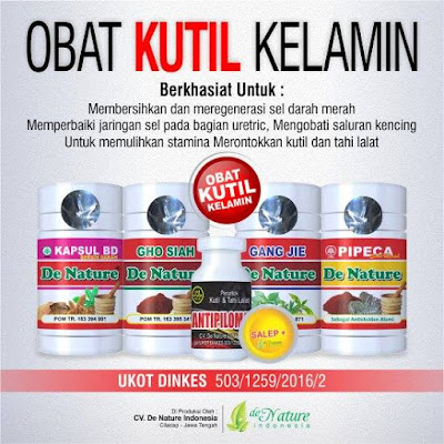 OBAT KUTIL JENGGER AYAM DI PENIS