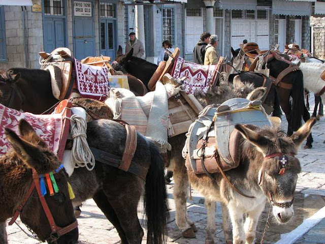 Donkey Island - Port of Hydra