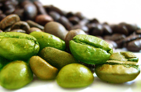 Weight Reduction & Green Coffee Bean Extract