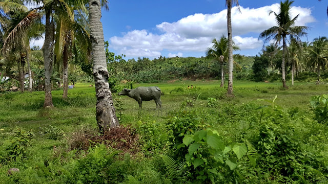 Mabini, Basey Samar