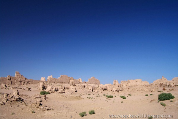 2010-09-01__10_40_4900__Paul