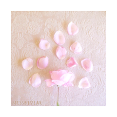 Petals