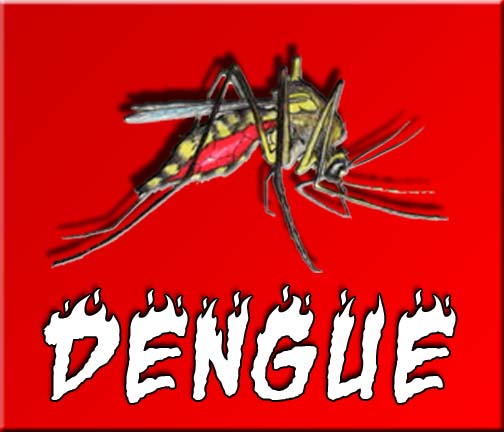 Materi Penyuluhan Dengue Hemoragic Fever DHF DBD LIVE 