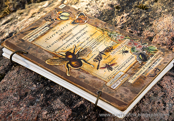 Layers of ink - Vintage Nature Notebook Tutorial by Anna-Karin Evaldsson.