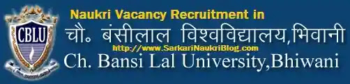 CBLU Bhiwani Faculty Non-Teaching Vacancy Recruitment