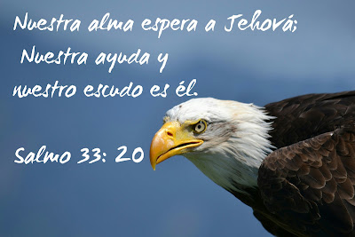 Imagen de Aguila con texto biblico