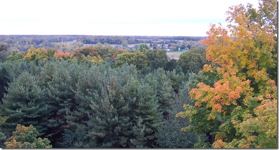 Fall 021