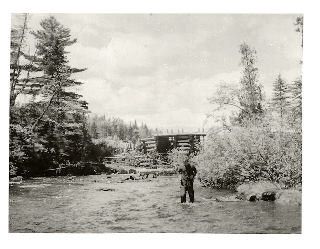 Stream, Poland Pond to Round Pond, June 21, 1946