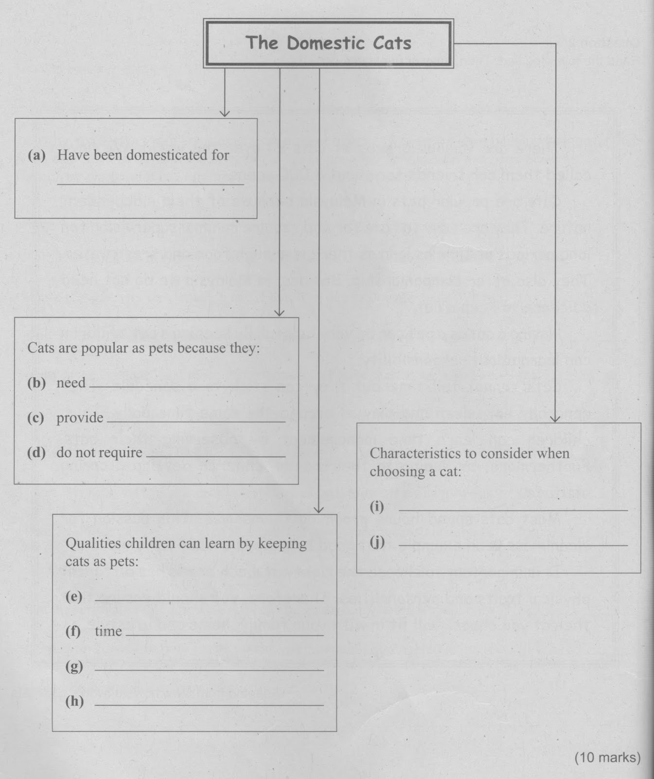 Soalan Essay English Pt3  Applydocoument.co