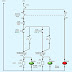 Wiring Diagram Motor Forward Reverse