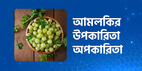 আমলকির উপকারিতা ও অপকারিতা