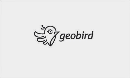 Bold & Thin line Logo Geobird