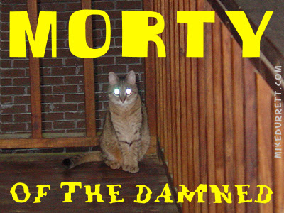 Morty Cat as Morty of the Damned