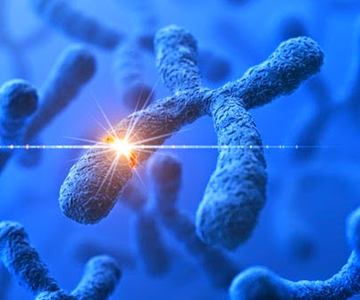 http://sparkonit.com/2014/04/30/gene-mutation-that-leads-to-abnormal-development-responsible-for-autism-discovered/