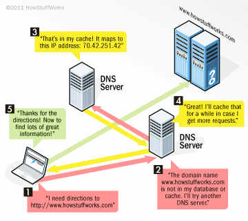 dns-rev-1.gif