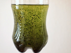 oil and water mixed into a plastic bottle