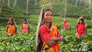 International Day of Rural Women is celebrated across the globe on this day