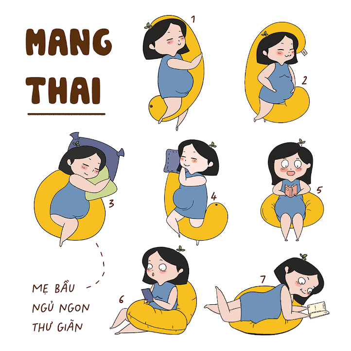 [A159] Nơi bán gối Bà Bầu Đậu Khuyết chính hãng, giá tốt nhất