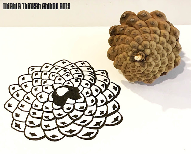 Pinecone Sketch By Thistle Thicket Studio. www.thistlethicketstudio.com