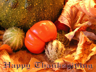 Happy Thanksgiving Postcard