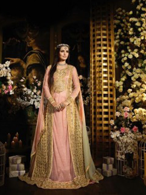 Wedding Season Special Designer and Ethnic Wear Salwar Suit 