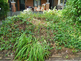Toronto Leslieville Summer Front Yard Garden Cleanup After by Paul Jung Gardening Services--a Toronto Organic Gardener