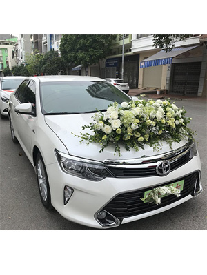 Xe hoa Toyota Camry