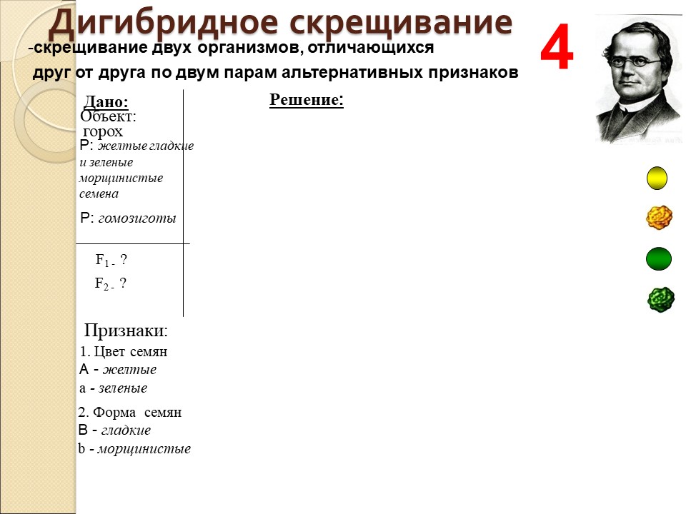 Дигибридное скрещивание примеры. Дигибридное скрещивание задачи. Моно и дигибридное скрещивание. Задачи на дигибридное скрещивание 9 класс.