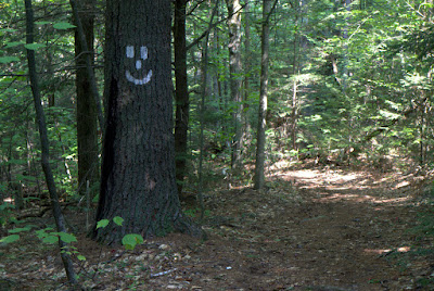 White smiley face painted on tree along the NET/M-M Trail