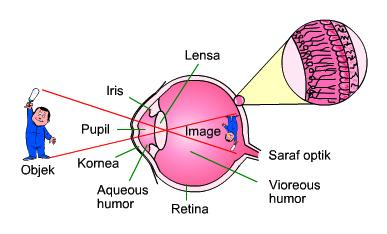Ide Terpopuler Bayangan Pada Mata