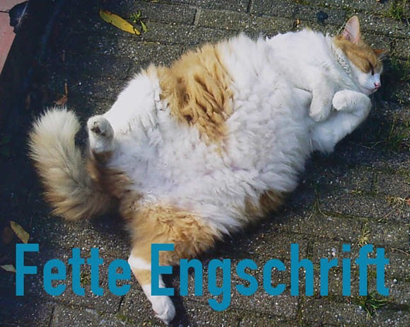 cats-as-fonts-24