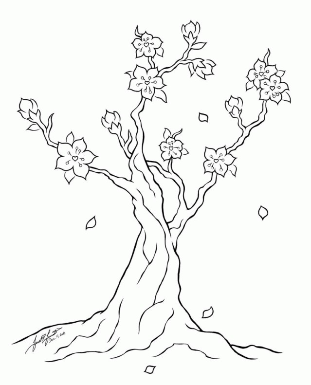 Gambar berikutnya yang menarik untuk diwarnai yaitu sketa gambar bunga sakura Gambar Mewarnai Bunga Sakura Terbaru