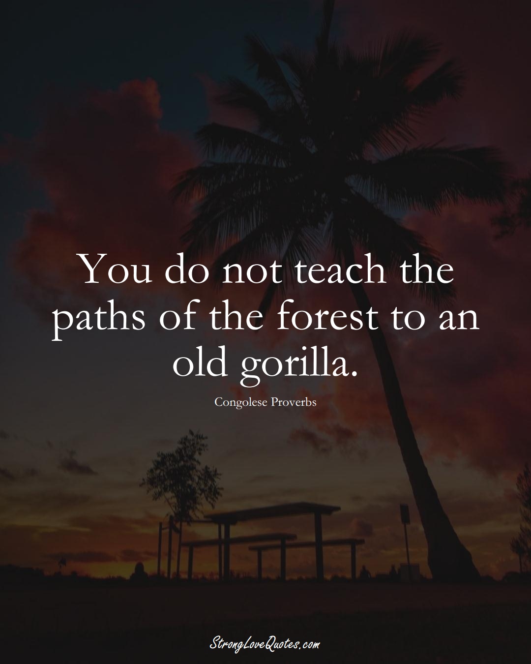 You do not teach the paths of the forest to an old gorilla. (Congolese Sayings);  #AfricanSayings
