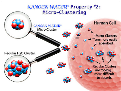 Air Kangen | Kangen Water | Alkalized | Anti-Oxidant | Micro Cluster | Sungai Buloh | Setiawangsa | Semenyih | Soeharto | Change Water | Change Life