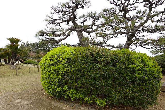 鳥取県米子市久米町　湊山公園