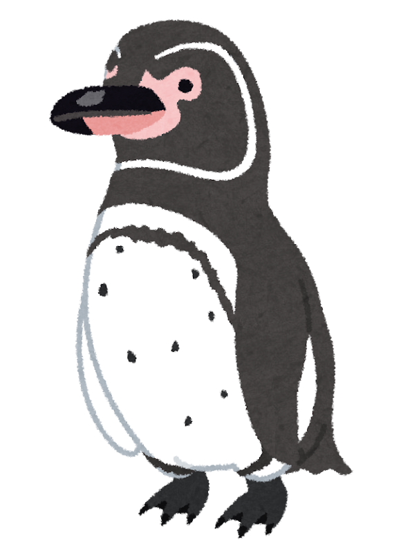 ガラパゴスペンギンのイラスト かわいいフリー素材集 いらすとや