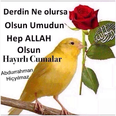 Cuma Günü Mesajları, Cuma Mesajları, Gündem, kısa mesajlar, Mesaj Deryası, 