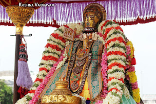 Satrumurai,Ippasi,purappadu,Thiruvallikeni, Thirumoolam,Sri Parthasarathy Perumal,Manavala Maamunigal,Varavaramuni, Temple, 2017, Video, Divya Prabhandam,Utsavam,