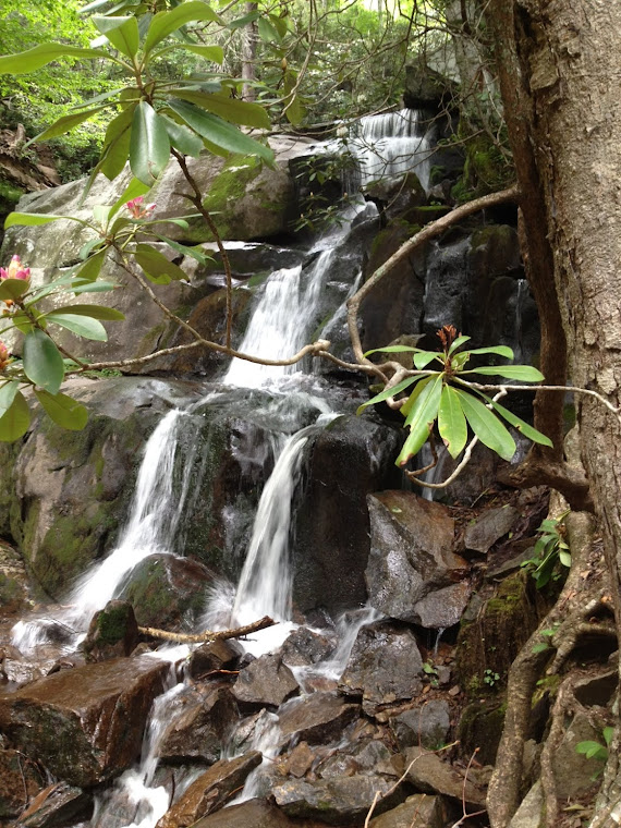 Laurel Falls