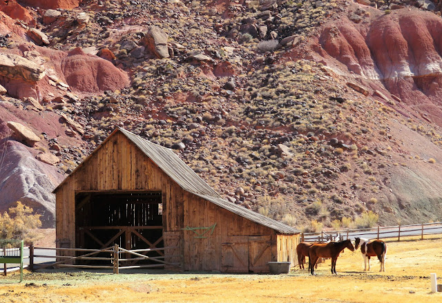 A barn and horses.