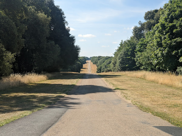 Avenue of trees south of the hall