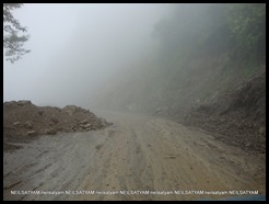 Thrrough the fog...in the mud Thrrough the fog...in the mud