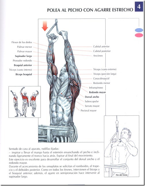 polea-al-pecho-con-agarre-estrecho