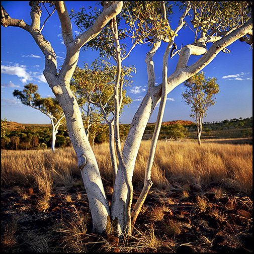 Australian Landscape Photography