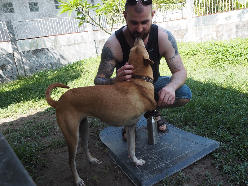 Meeting Deng Mia, three legged dog at Lanta Animal Welfare