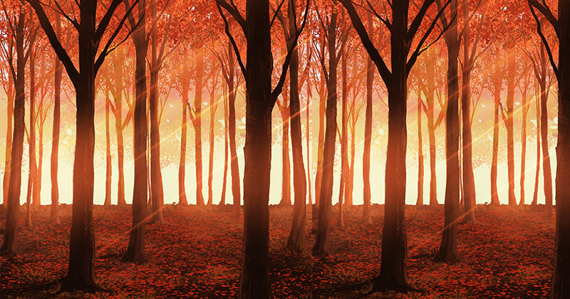 painting red autumn scenery using photoshop