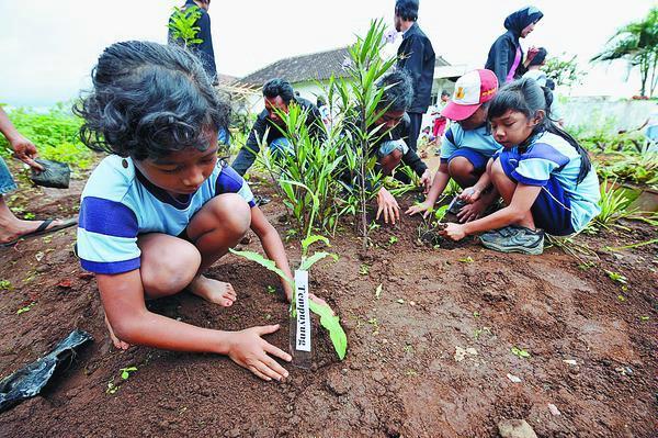 Healthy and Green Environment: Sekolah Hijau , Mengapa Tidak