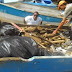 Club de Leones retiran toneladas de basura de playas y balnearios