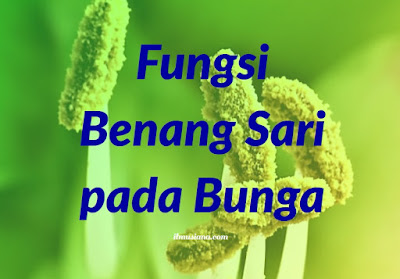  adalah bagian bunga yang memiliki fungsi penting bagi perkembangbiakan tumbuhan 7+ Fungsi Benang Sari pada Bunga