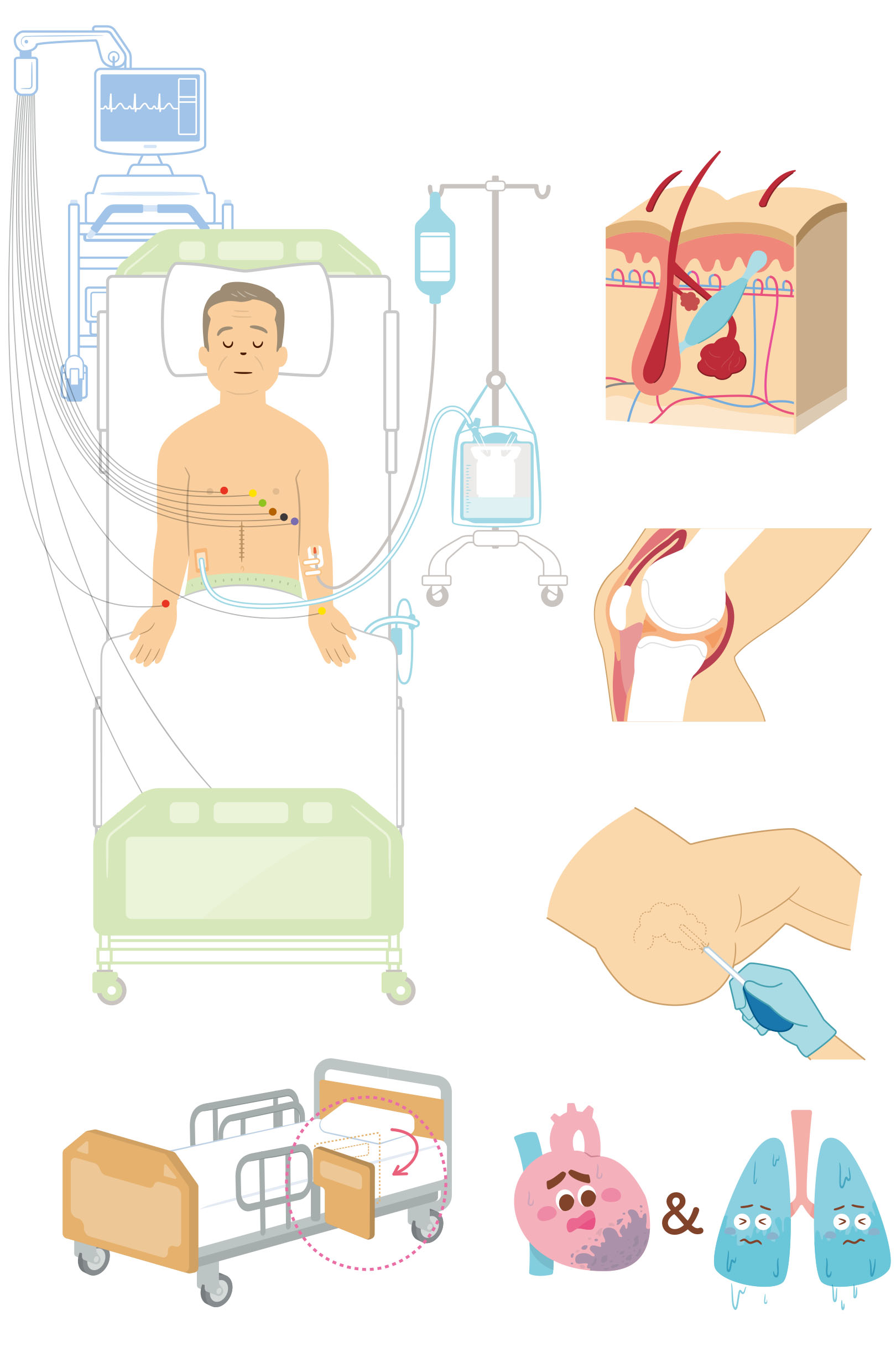 【医療イラスト】臓器や医療機器